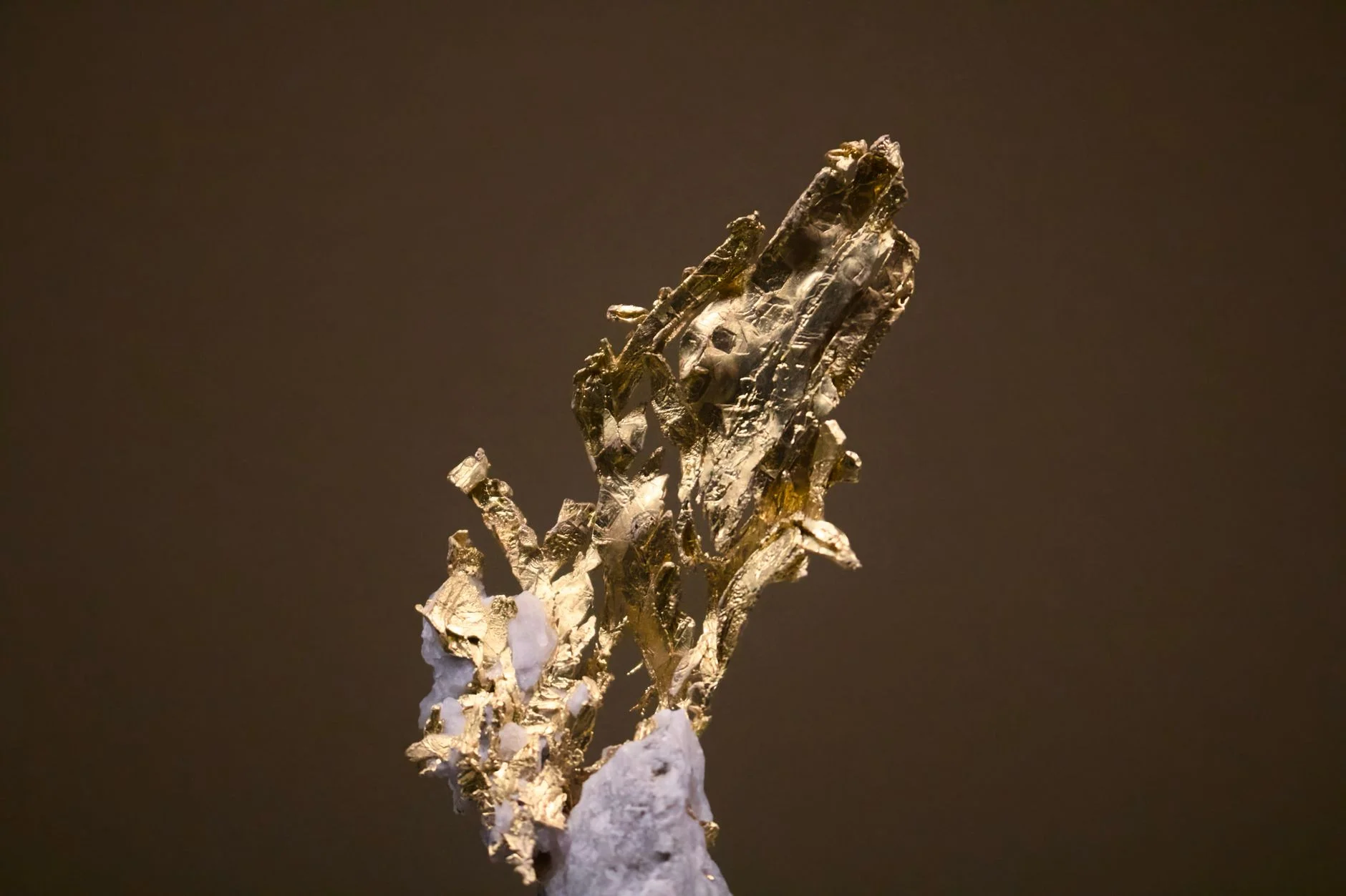 Real native gold with soft rounded deep-yellow surfaces compared with pyrite