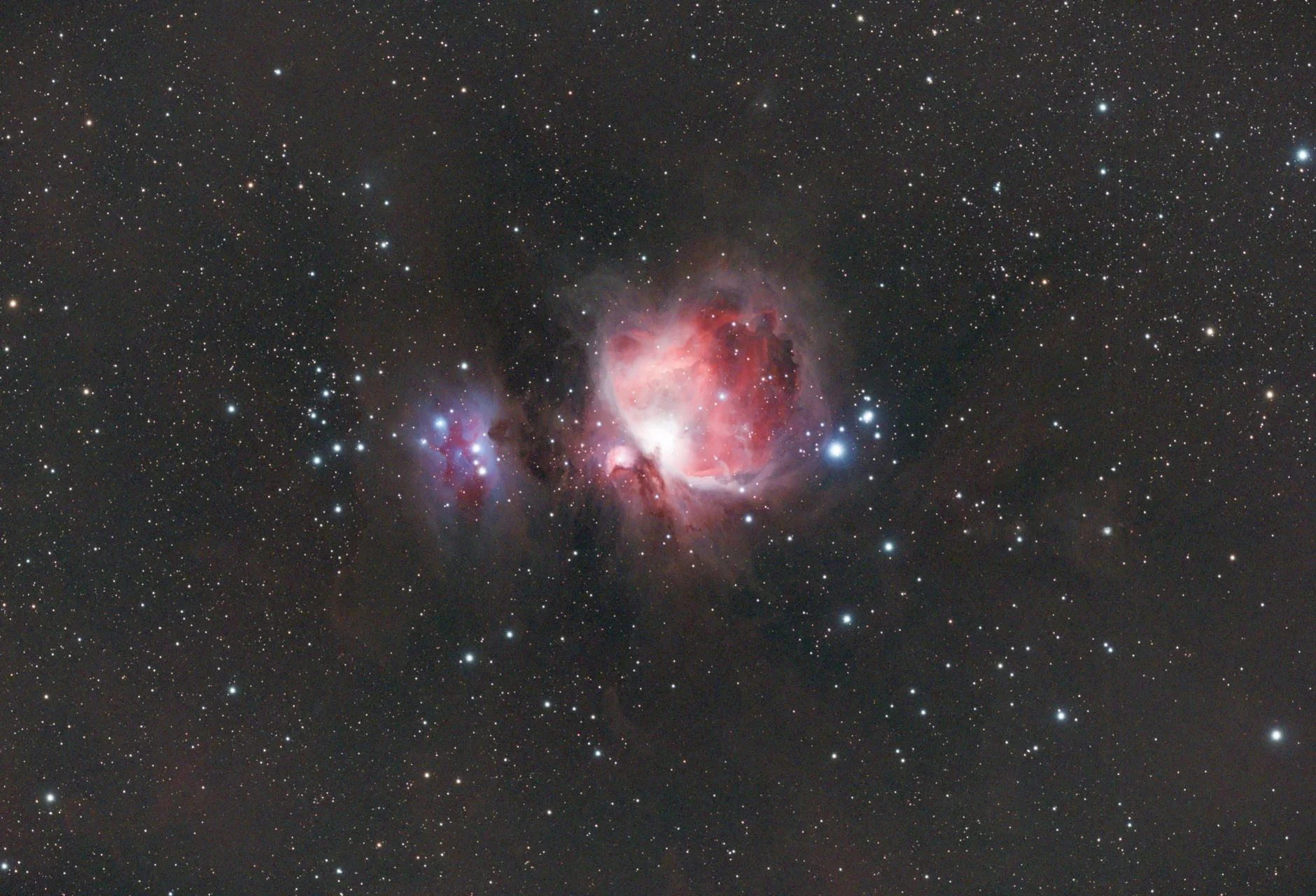 The Orion Nebula, a glowing pink-red cloud of gas surrounded by stars