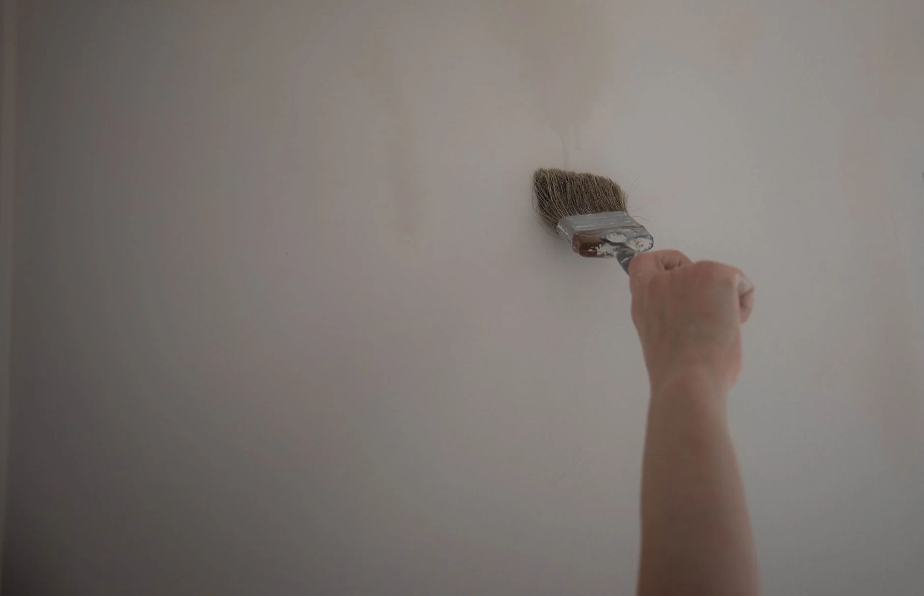 A hand holding a paintbrush against a pale wall
