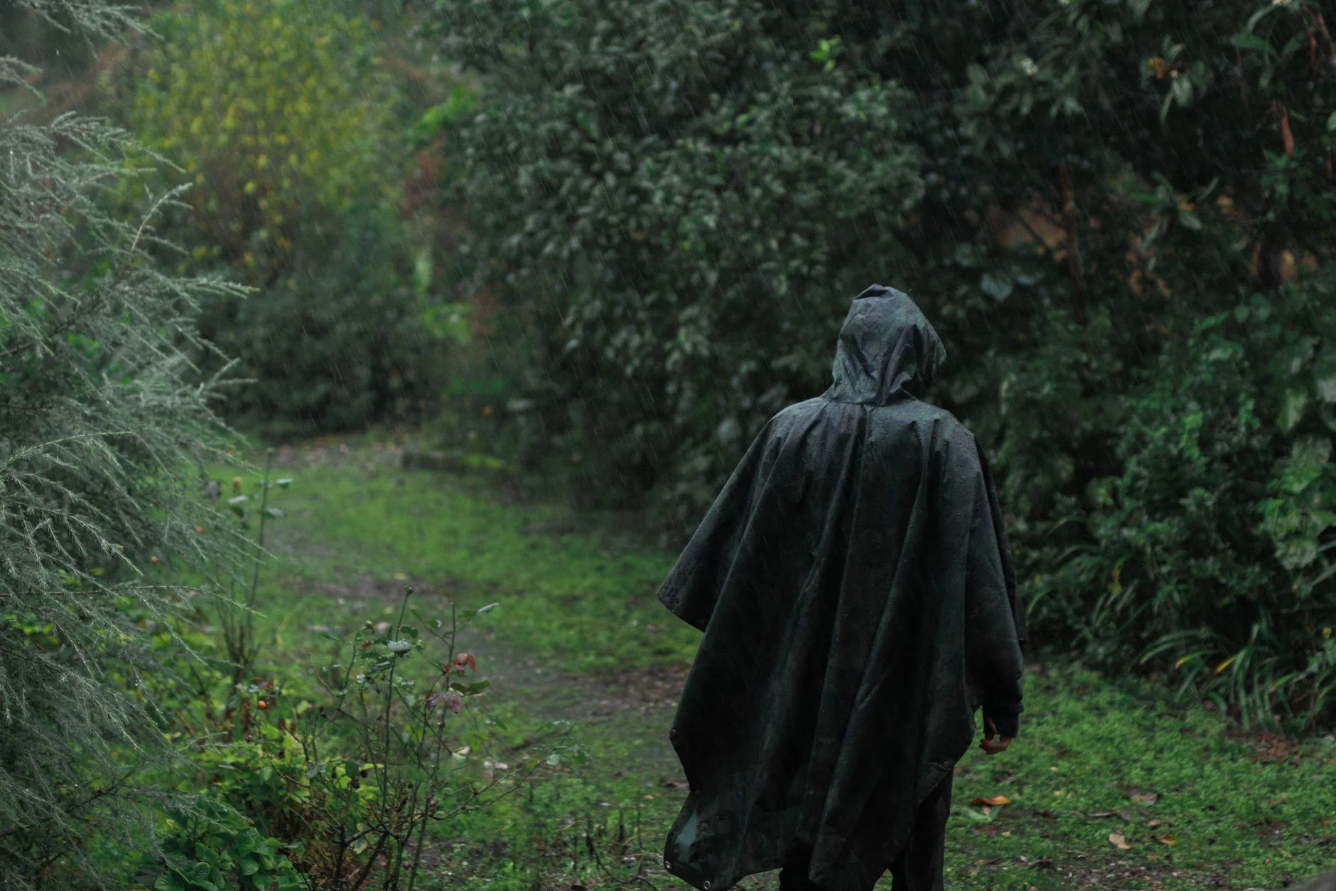 A person in a hooded rain poncho walking along a grassy path through a wet forest