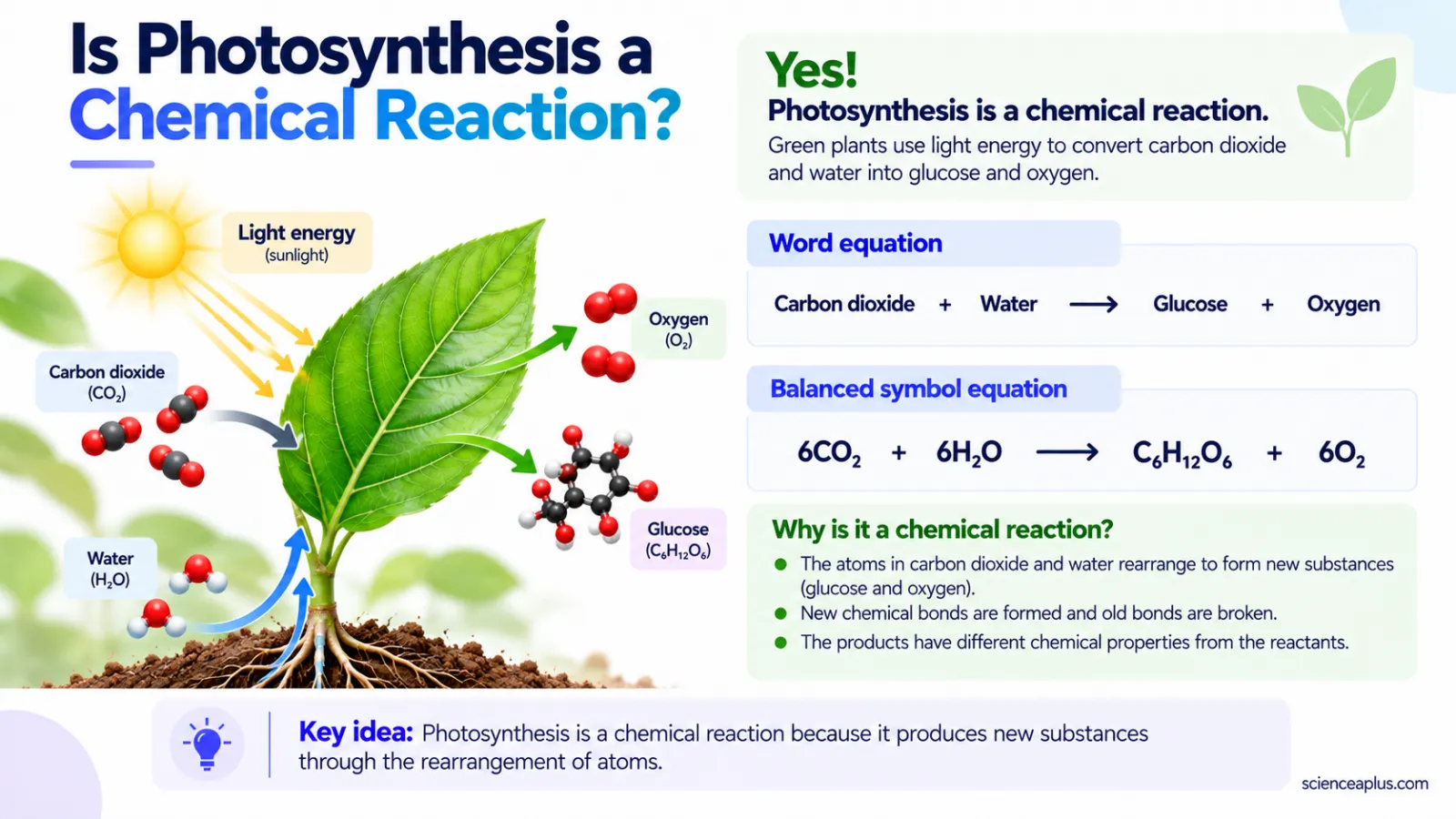 Photosynthesis as a chemical reaction: 6CO2 + 6H2O → C6H12O6 + 6O2 with a leaf and sunlight