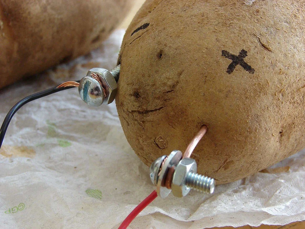 Potato with a galvanised steel bolt and a bare copper wire pushed into it, each connected to a wire