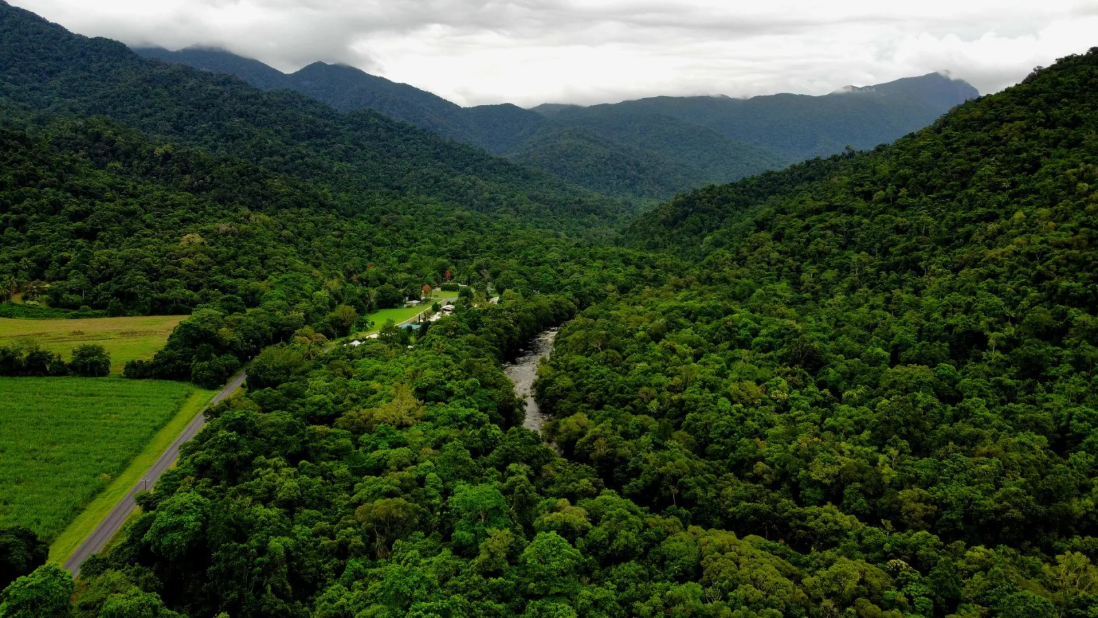 Aerial view of forested hills with a river, a road and green farmland at the forest edge