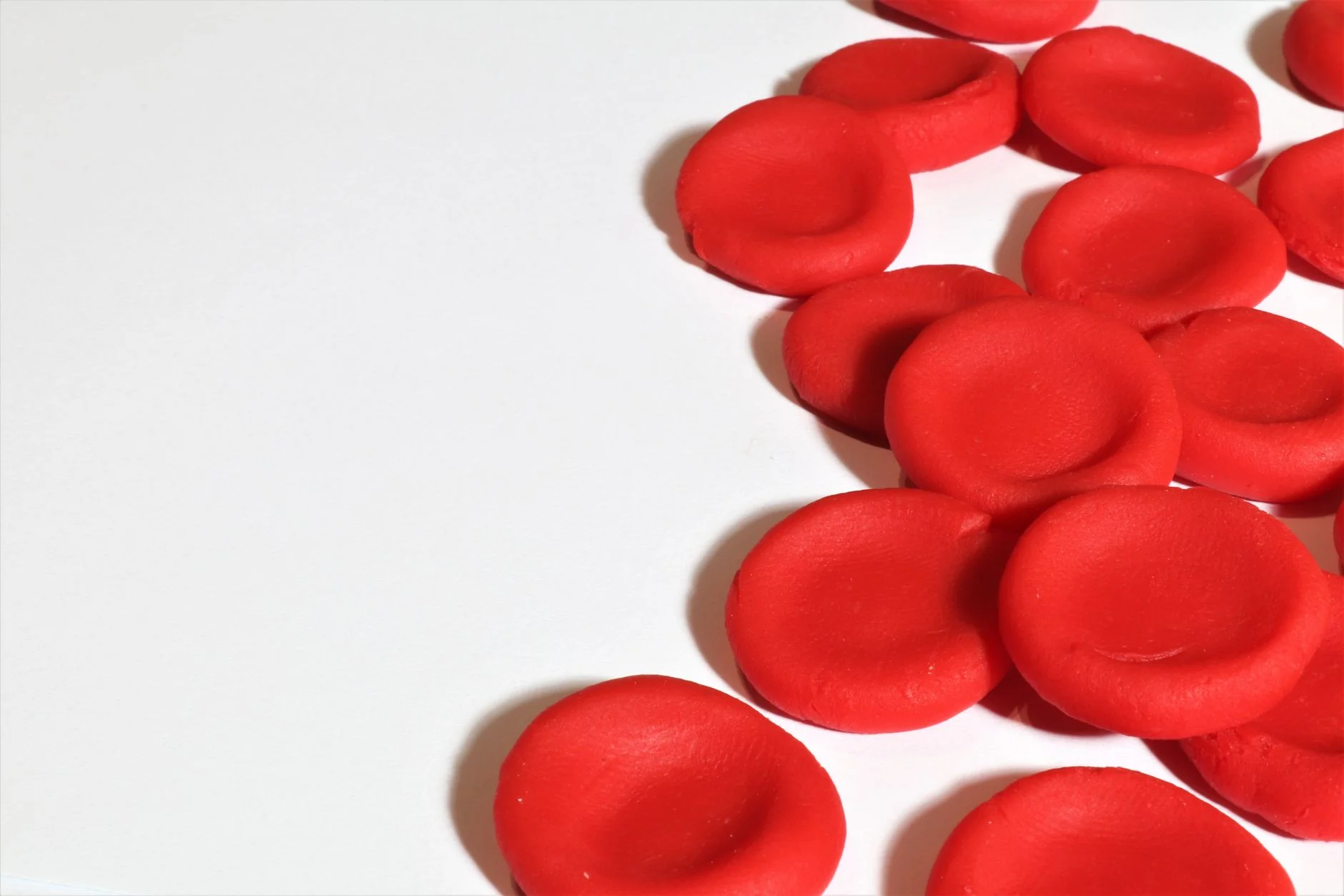 Model red blood cells in bright red clay with a dip in the middle of each disc, on a white surface