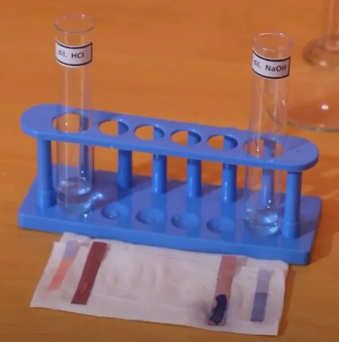 Red and blue litmus papers after dipping in dilute hydrochloric acid and dilute sodium hydroxide, test tubes in a blue rack