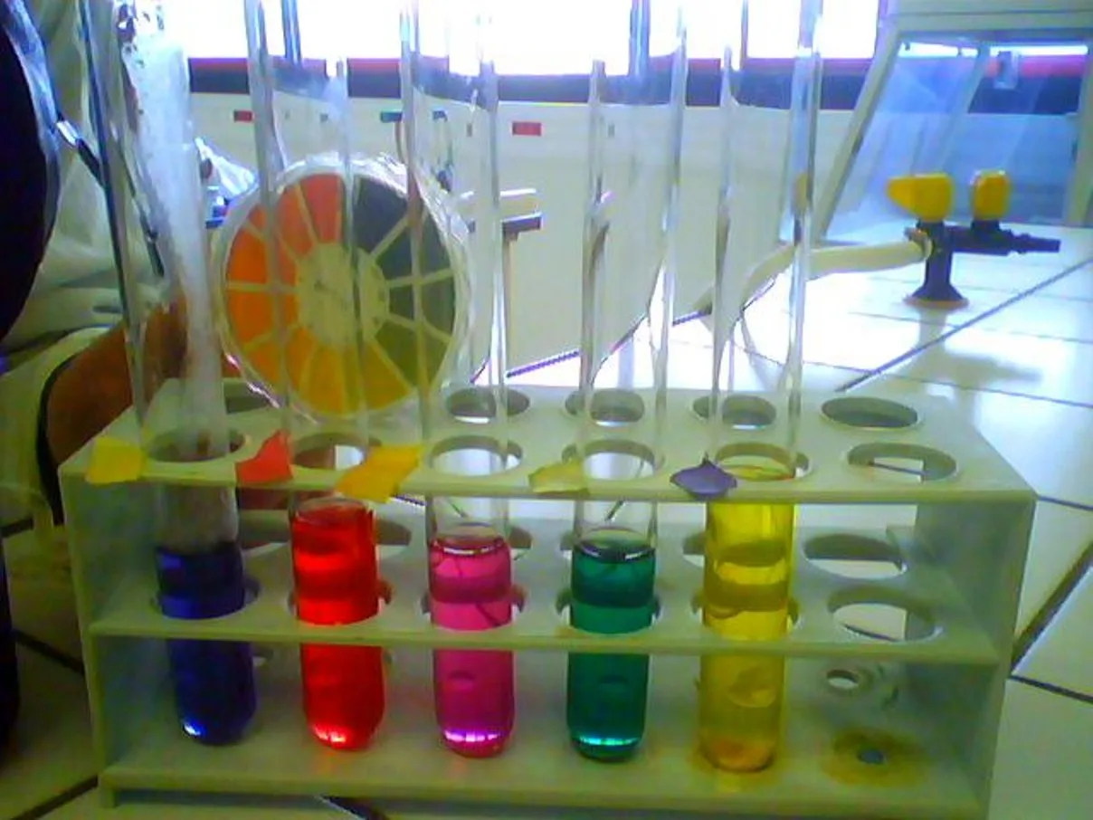 Red cabbage indicator showing blue, red, pink, green and yellow in test tubes of solutions with different pH