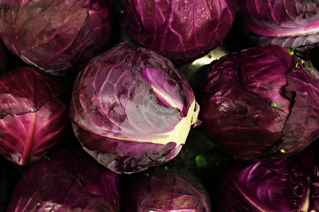 Heads of red cabbage, a natural source of acid–base indicator