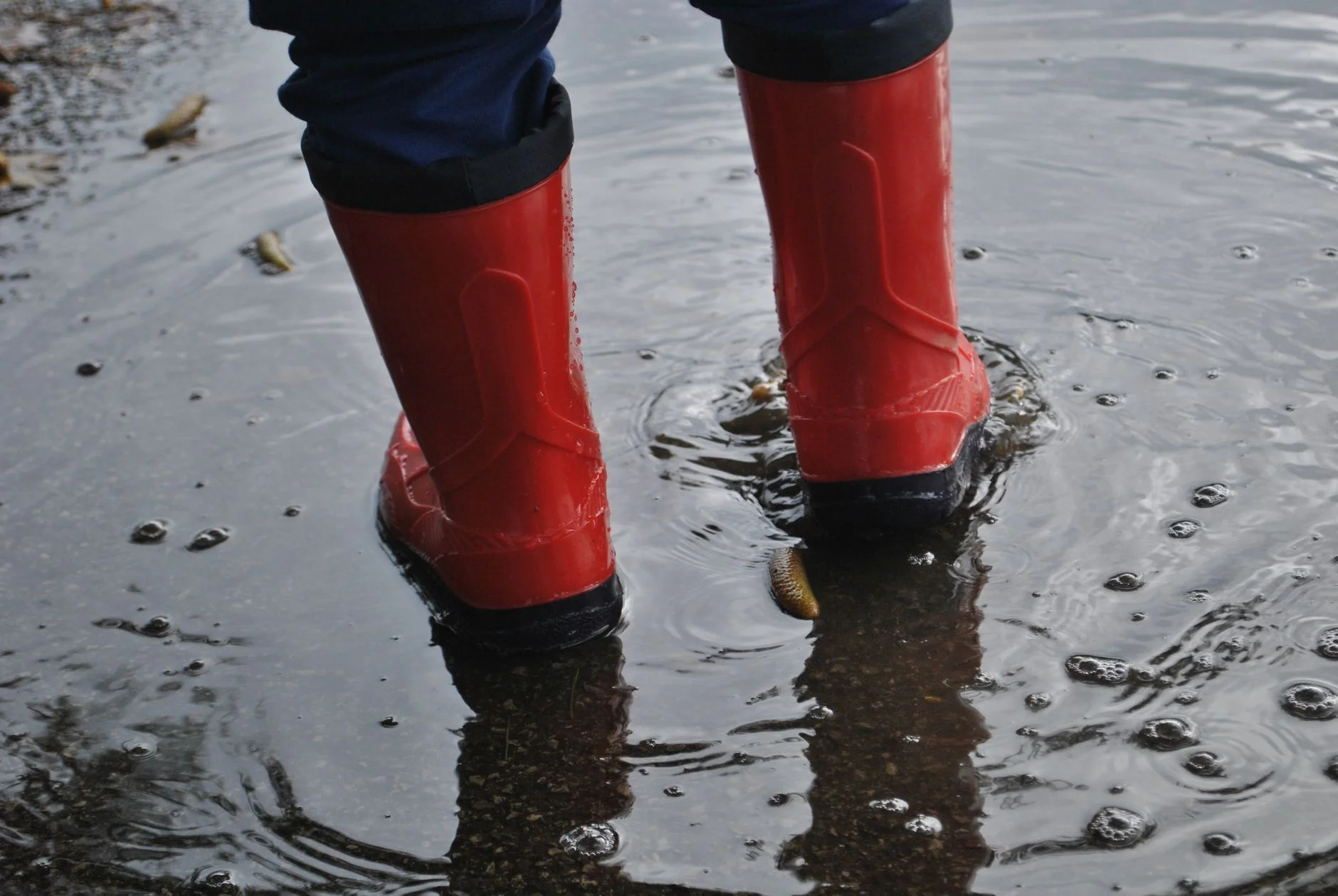 Rubber boots standing in a rain puddle