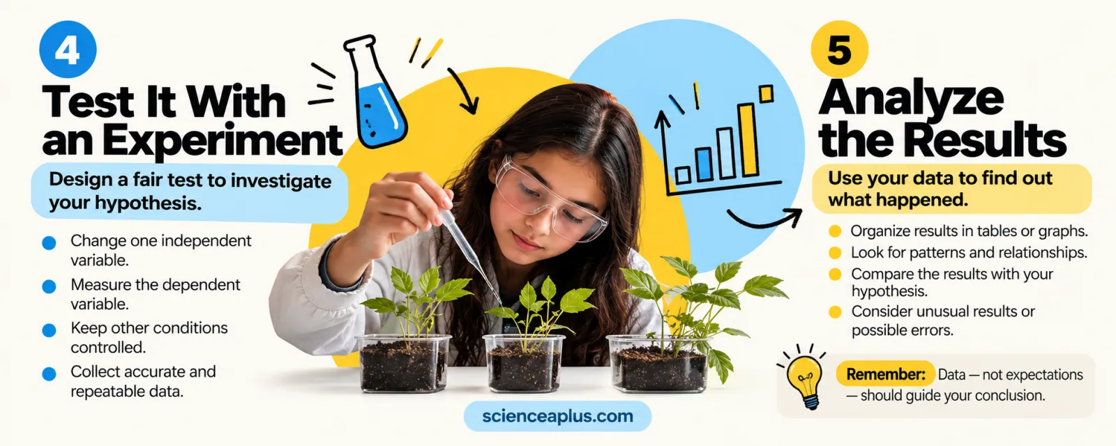 Infographic of steps 4 and 5 of the scientific method: test it with an experiment, changing one independent variable, and analyse the results using tables and graphs