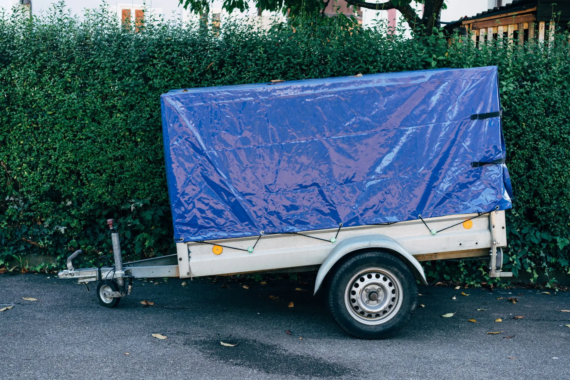 A small single-axle box trailer with a blue tarpaulin cover parked by a hedge
