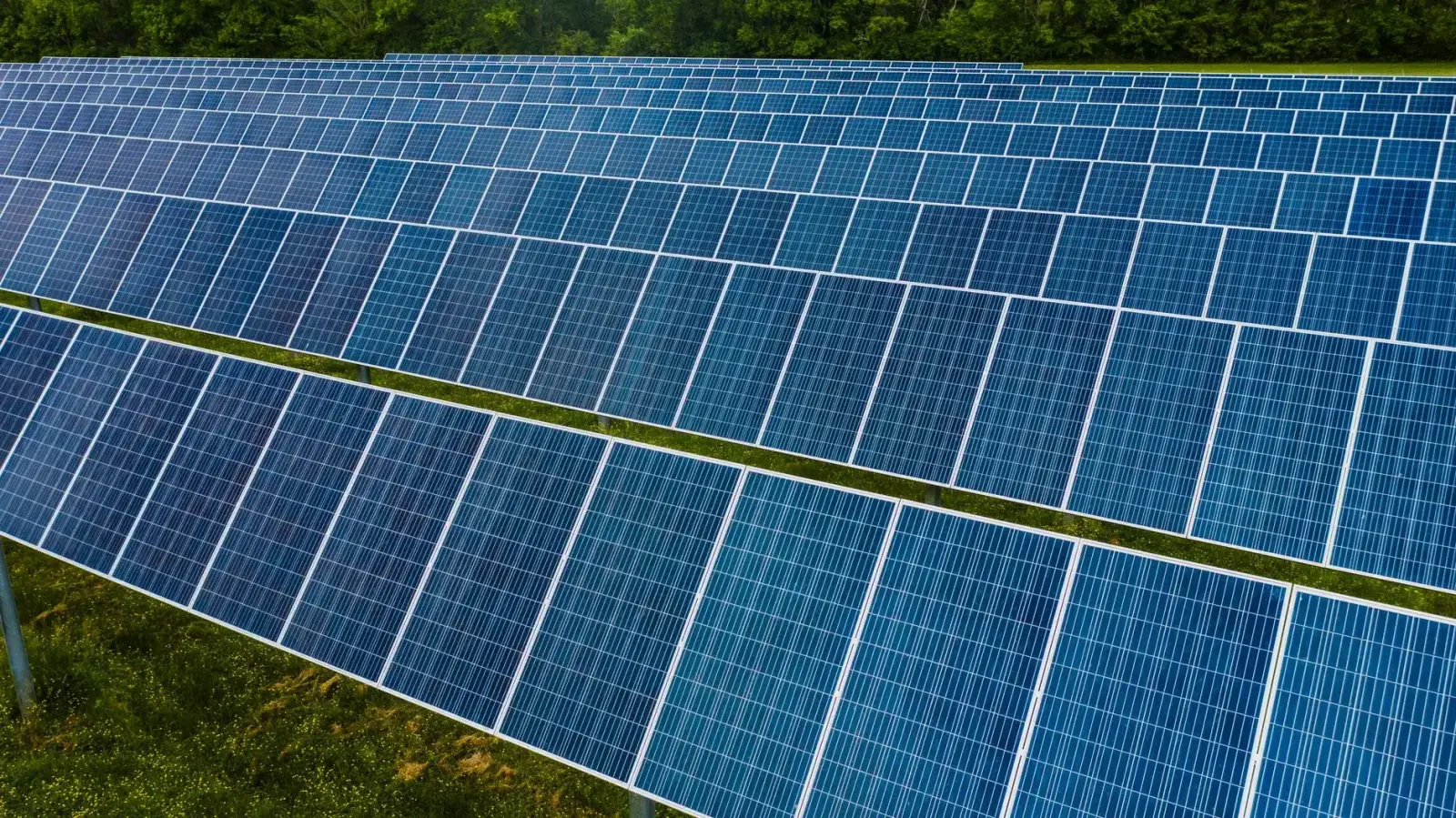 Long rows of blue solar panels in a field