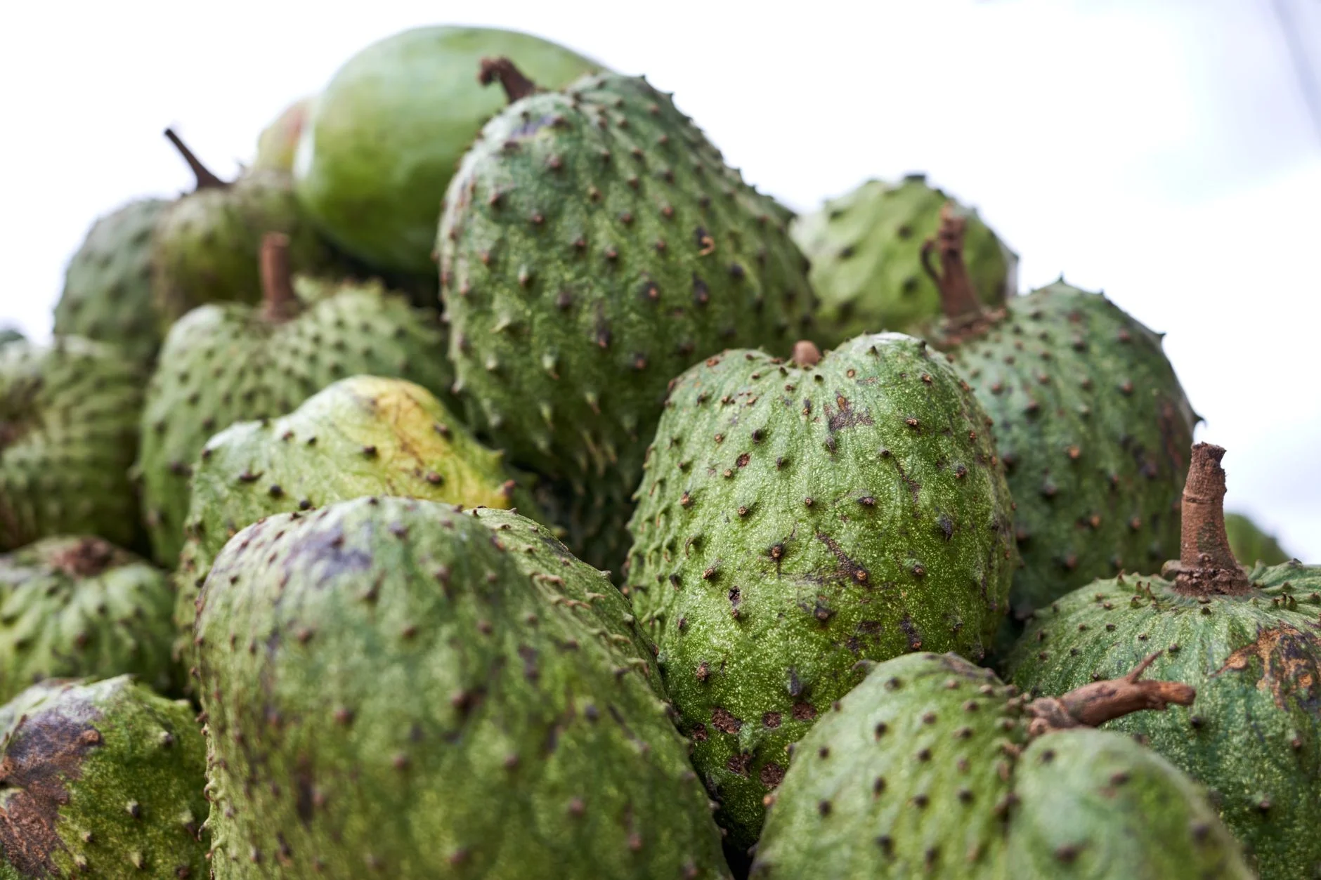 Soursop Health Benefits: Nutrition, Risks and Cancer Myths