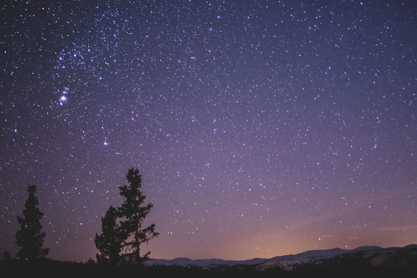 A star-filled night sky over silhouetted trees and distant mountains