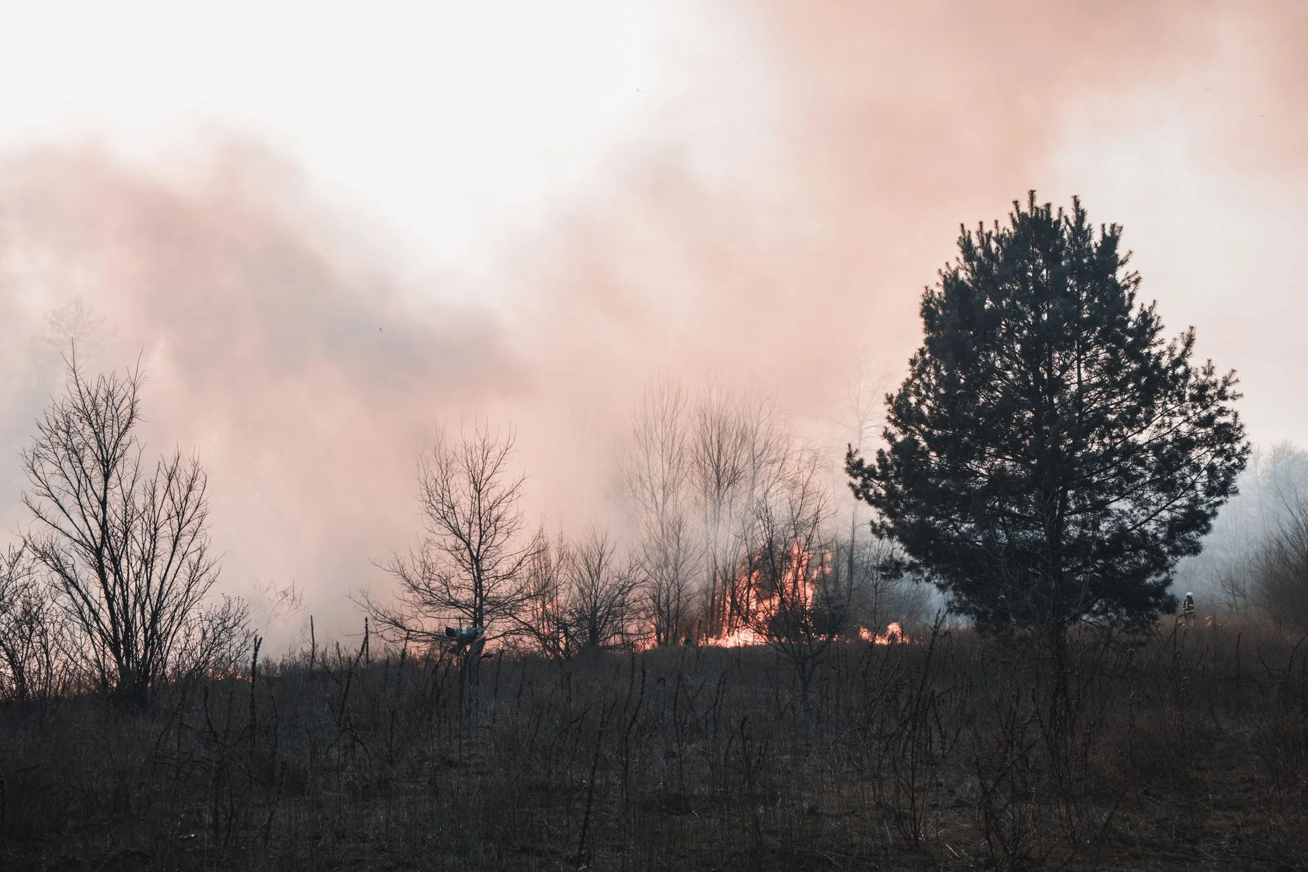 Smoke and flames rising from a burning field and trees
