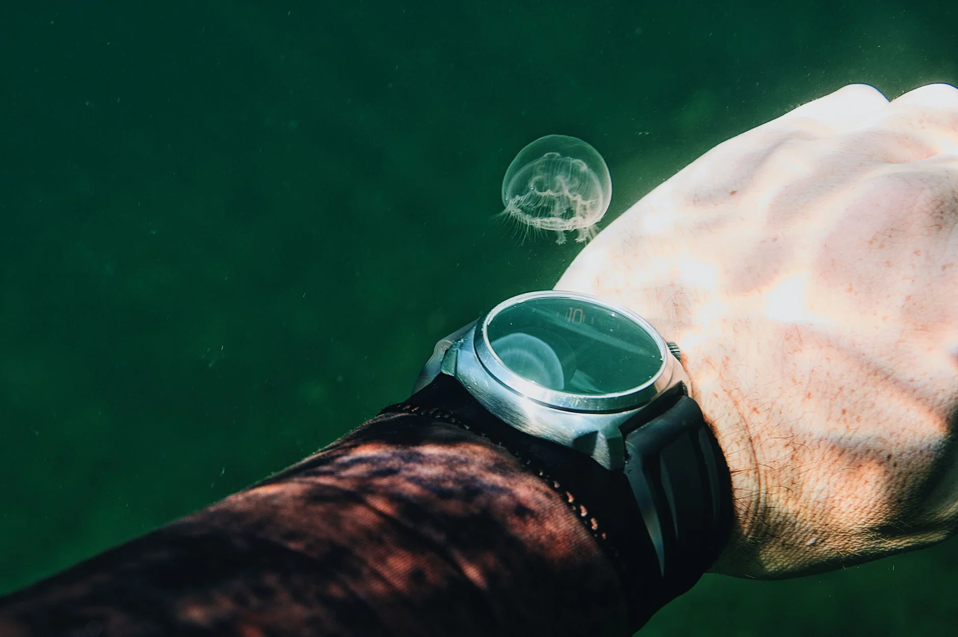 A wristwatch on an arm under water with a small jellyfish floating nearby